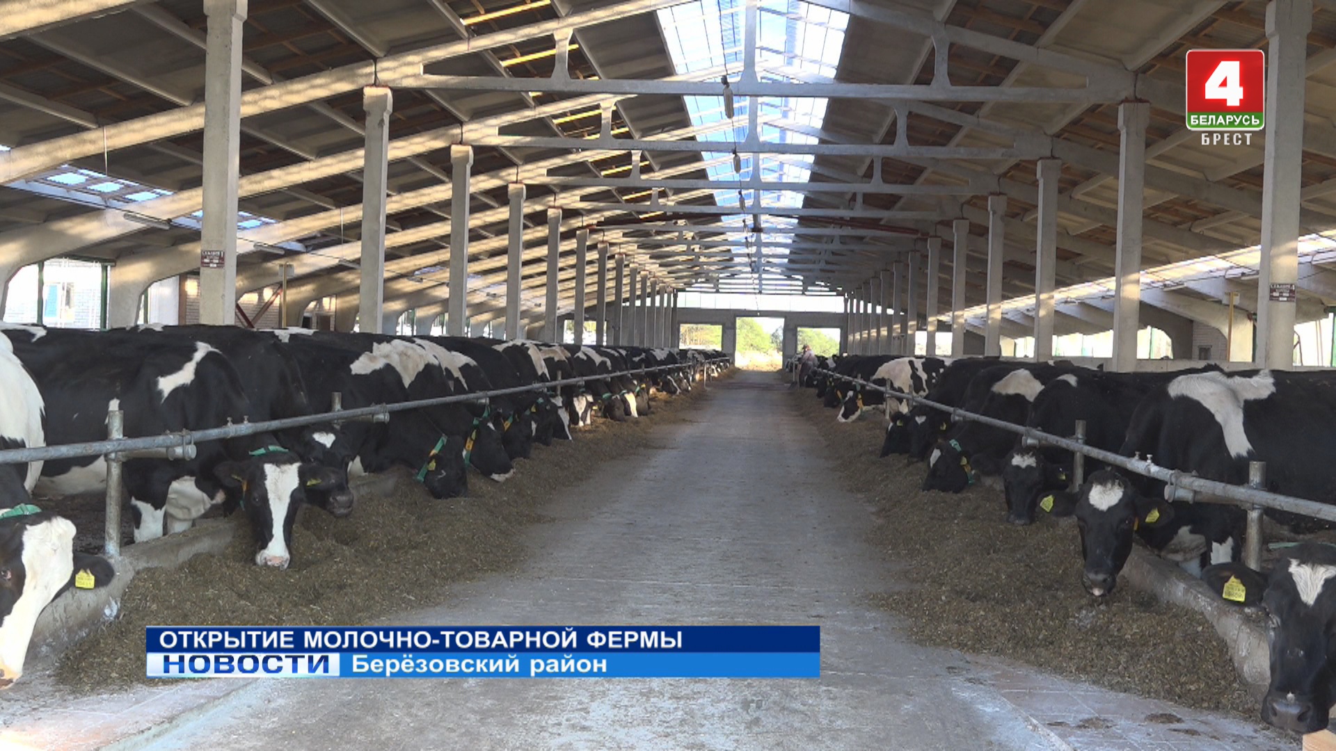Открытие молочно-товарной фермы